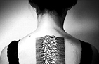 Joy Division a ich Unknown pleasures.