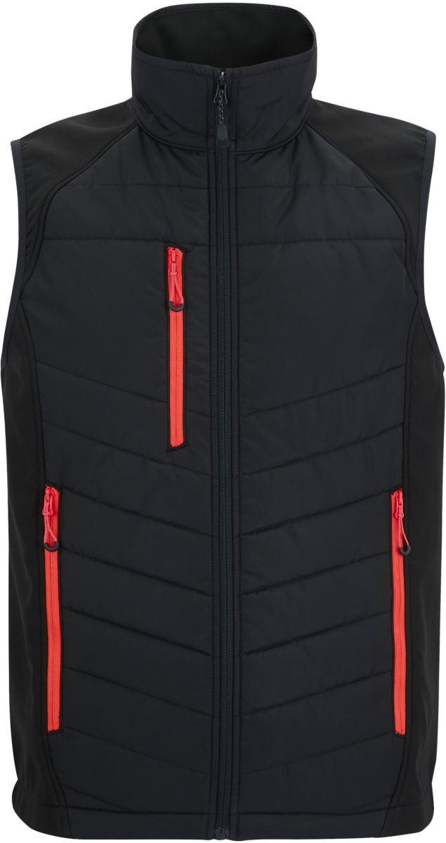 Regatta | TRB 203 – 36.B203