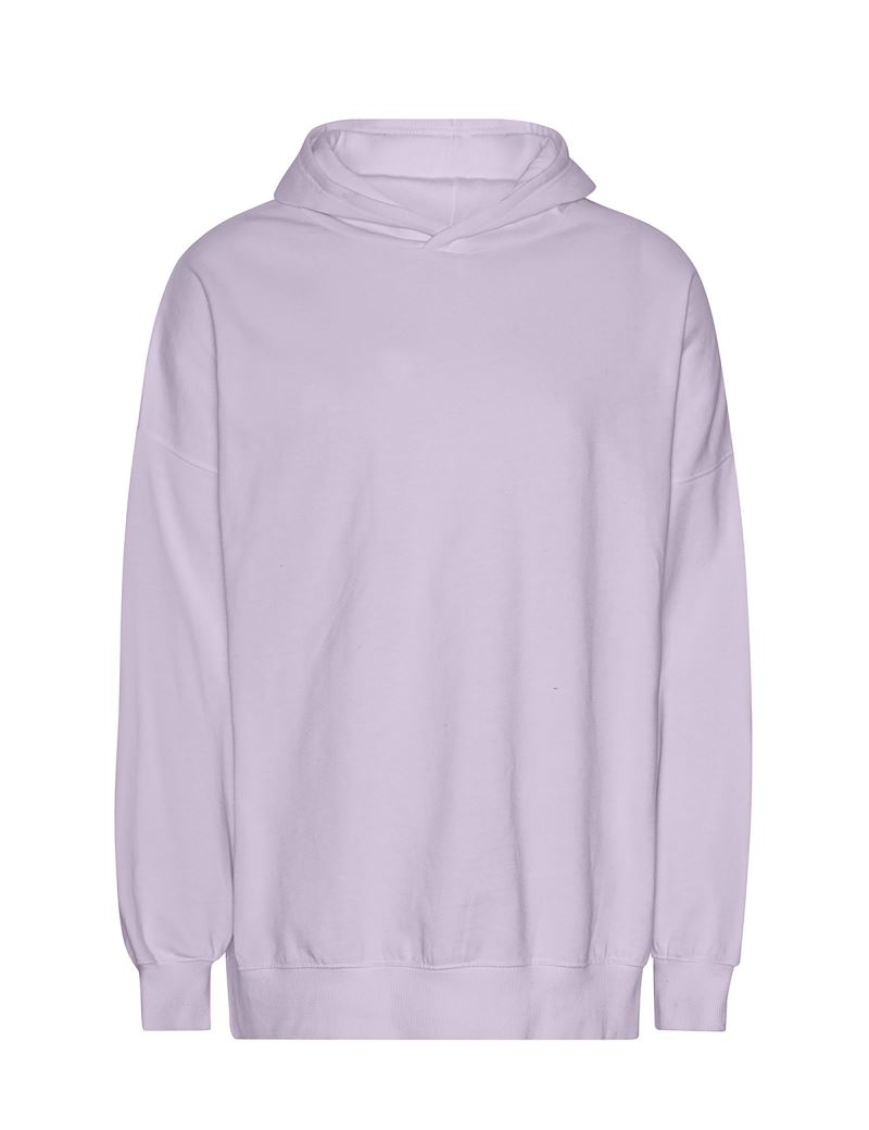 Neutral | T 63111 – 77.T311 – dusty purple