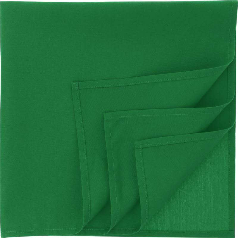 Atlantis | Bandana Goal-S – 33.0290 – green