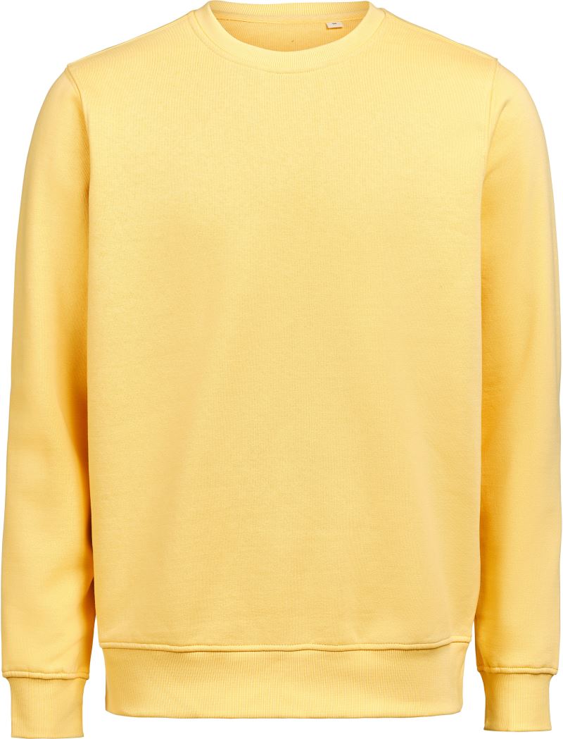 Untagged Movement | OCS RCS Crewneck – 66.3010 – ray