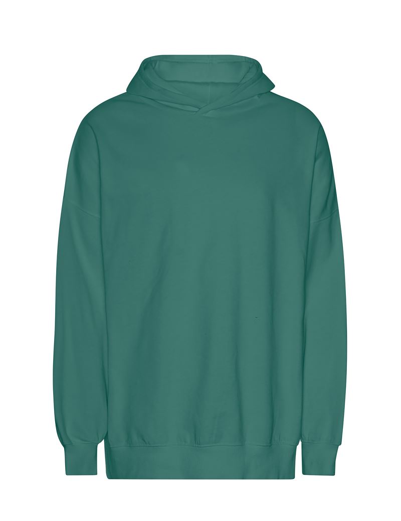 Neutral | T 63111 – 77.T311 – teal