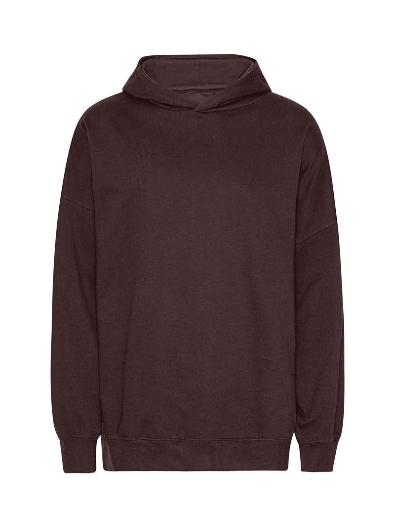 Neutral | T 63111 – 77.T311 – brown