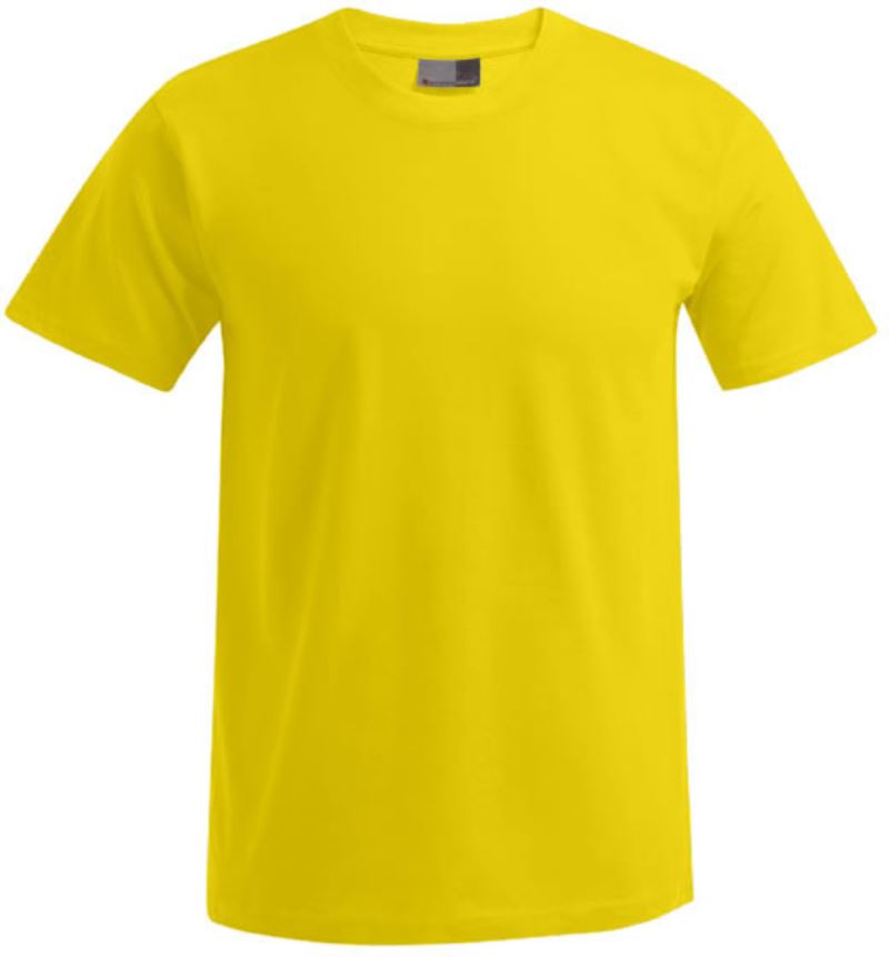 Promodoro | 3099 (XS-6XL) – 40.3099 – gold
