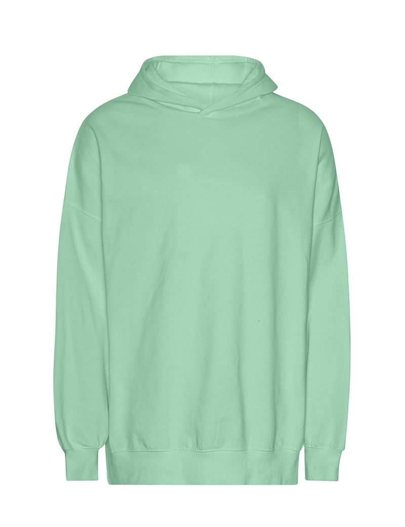 Neutral | T 63111 – 77.T311 – dusty mint